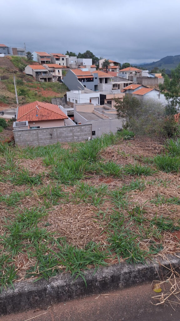 WhatsApp Image 2026-06-05 at 13.55.28 (2)